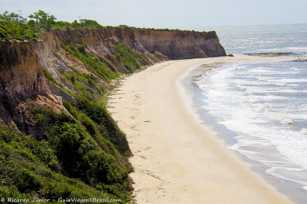 Imagem da linda falésia e da exuberância da vegetação da Praia do Farol.